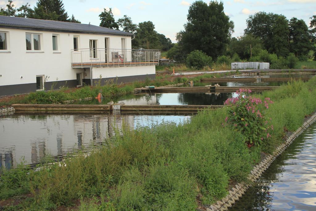 Ruhige Ferienwohnungen Mit Teichblick Wetterfeld Eksteriør billede